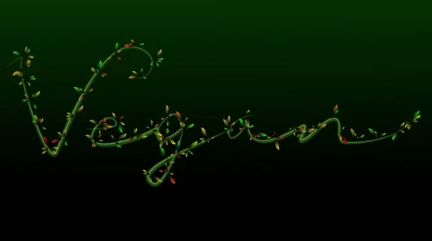 Title animation of growing vine Stock Footage 61363477