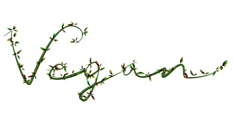 Title animation of growing vine Stock Footage 61364052