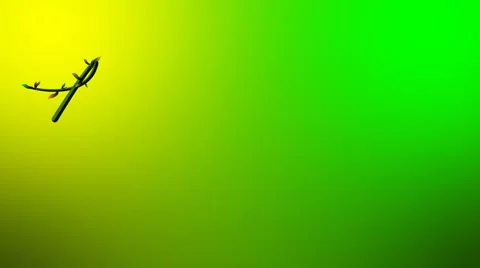 Title animation of growing vine Stock Footage 61364606