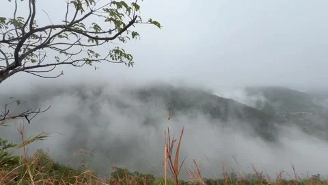 Title: Cloud inversion in one of the valleys of Western Ghats of India. Stock Footage 337385418