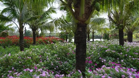Title: Coconut Palm Trees and Colorful Flower Garden by Waterfront 스톡 동영상 343591151