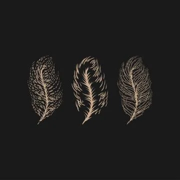 Title Feathers vector illustration Stock Illustration