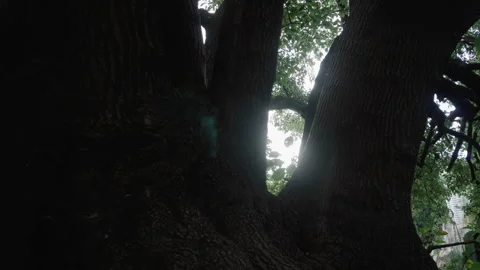 Title Stock Footage 326695609