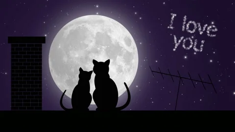 Title I love you. Two cats on the roof and the moon Stock-Footage 89416593