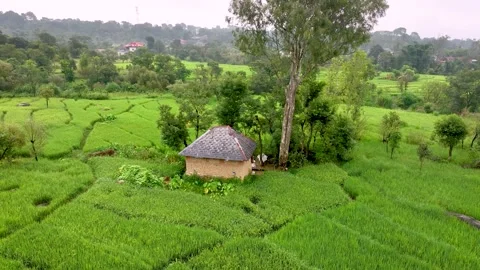 Title: Low-altitude forward tracking drone shot approaching a solitary farm.. Vídeos de archivo 345277437