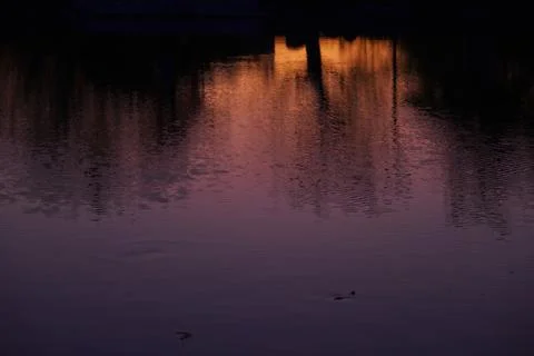 Title: Serene Sunset Reflection on Pond Stock Photos