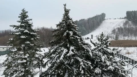 Title: Snow-covered evergreen trees and winter ski slope landscape Stock Footage 322021587