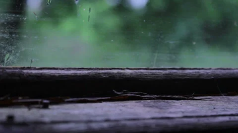 Title - Vertical Split - Bee Over Glass Stock Footage 38417537