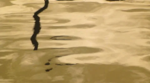 Titles Background Abstract Water Reflections 40 Video stock 39372732