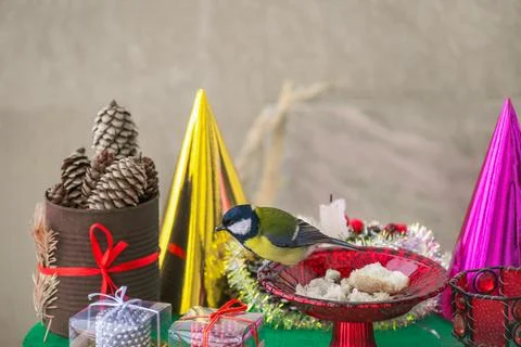 A titmouse bird eats on a table with Christmas decorations Stock Photos