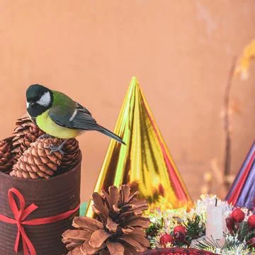 A titmouse bird eats on a table with Christmas decorations Stock Photos