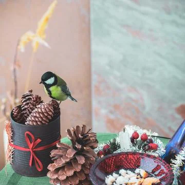 A titmouse bird eats on a table with Christmas decorations Stock Photos