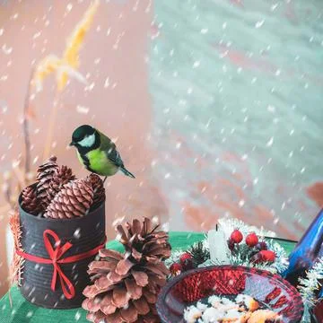 A titmouse bird eats on a table with Christmas decorations Stock Photos
