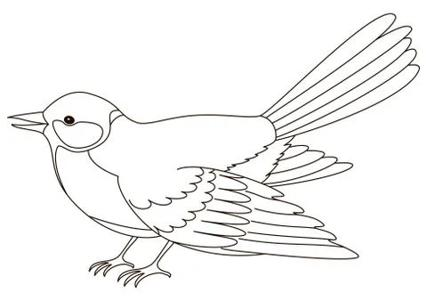 Titmouse, contours Stock Illustration