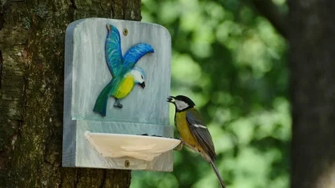Titmouse flew to a beautiful bird feeder and pecks at seeds Video stock 286314026