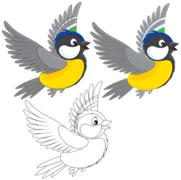 Titmouse Stock Illustration