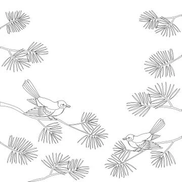 Titmouse on pine branch, contour Stock Illustration