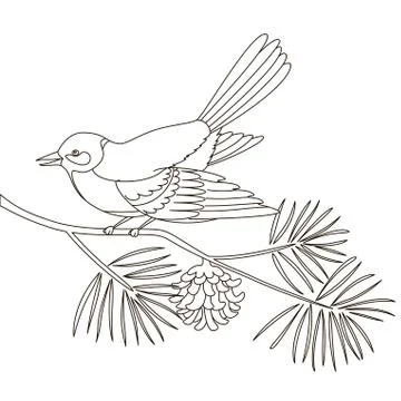 Titmouse on a pine branch Stock Illustration