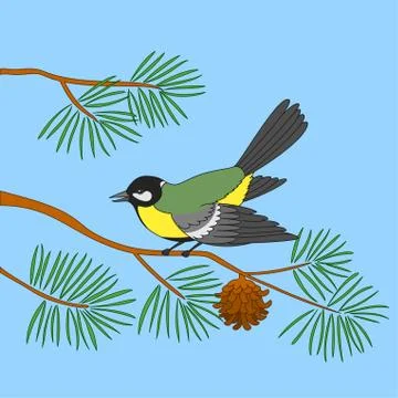 Titmouse on pine branch Stock Illustration