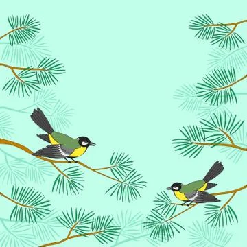 Titmouse on pine branch Illustrazione stock