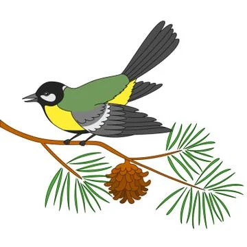 Titmouse on a pine branch Stock Illustration