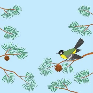 Titmouse on pine branch Stock Illustration