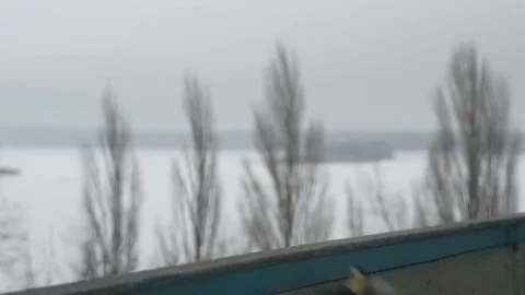 Titmouse on the railing of the balcony Stock Footage 71013961