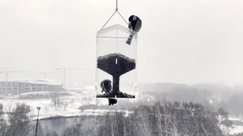 Tits fly to the window feeder, take food and flies away in winter Stock Footage 192805815