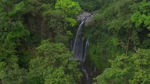 Tiu Kelep 動画素材 145250182