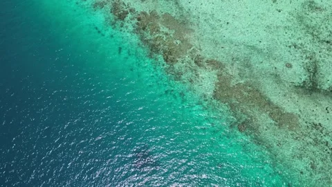 TivuaIslandreef 스톡 동영상 266741025