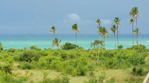 Tiwi Beach view backplate 01 Stock Footage 60375667