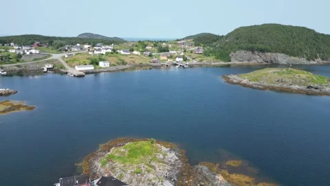 Tizzard's Harbor, Newfoundland, Canada 10 库存影片 319599689