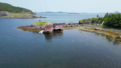 Tizzard's Harbor, Newfoundland, Canada 2 Stock Footage 319599702