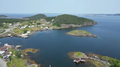 Tizzard's Harbor, Newfoundland, Canada 7 Vídeo Stock 319599667