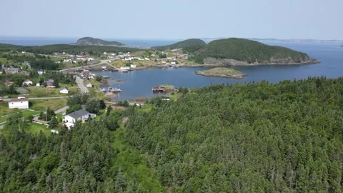 Tizzard's Harbor, Newfoundland, Canada 9 動画素材 319599678