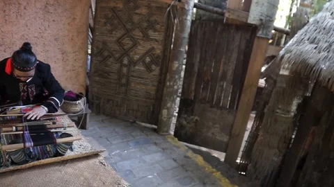 Tkach12 Stock Footage 103246658