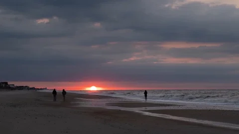 TL 3 1 Stock Footage 108775523