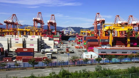 T/L 5K Working Crane and Cargo Container in Sinhangman, One of the famou 動画素材 164000018