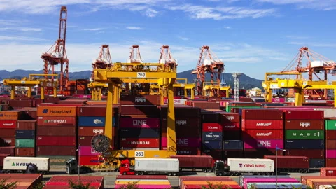 T/L 5K Working Crane and Cargo Container in Sinhangman, One of the famou 動画素材 164000280