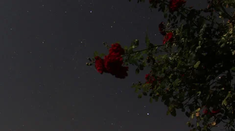 TL Astro 20130824 Stock Footage 35710993
