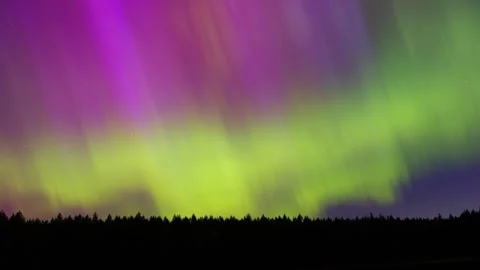 TL Aurora Borealis over a forest Washington state Stock Footage 275079727