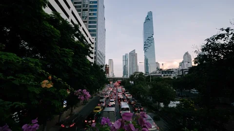 TL-CITY1-editcl-3 Stock Footage 118148385