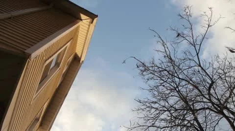 TL House Sky Tree 001 Stockbeeldmateriaal 12136302