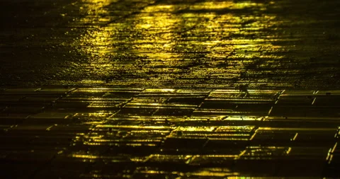 T/L Light reflection on sidewalk in raining night Stock Footage 162592356