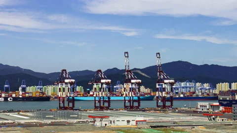 T/L Representative harbor industry night at Sinhangman in Busan, South K Stock Footage 164011332