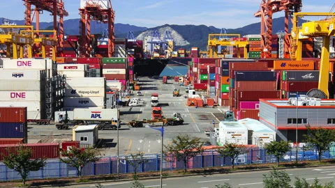T/L Working Crane and Cargo Container in Sinhangman, One of the famous h 库存影片 164000033