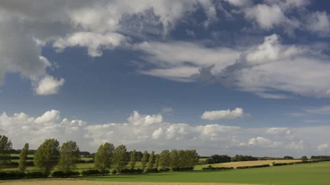 TL003Gcr211016 Stock Footage 167417827