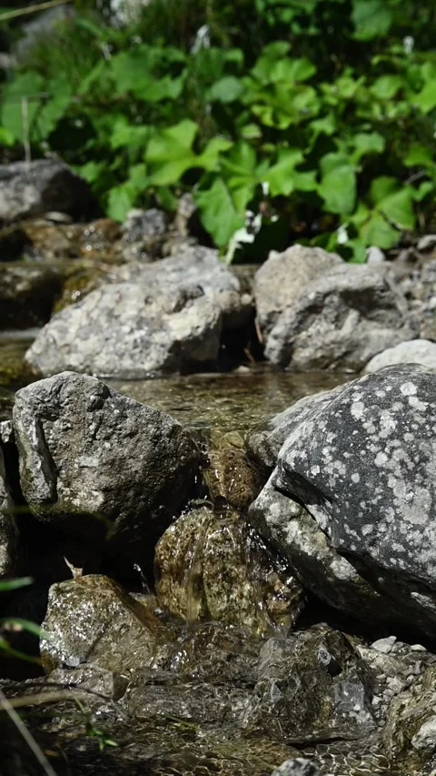 TL02-10 Glasbach V FullHD 00280751 Stock-Footage 260890884