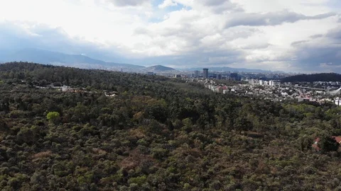 Tlalpan forest. Видео 124548778