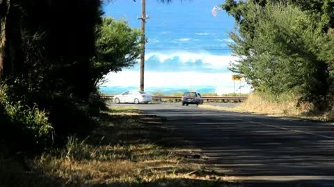 Tlhoo 動画素材 10744841